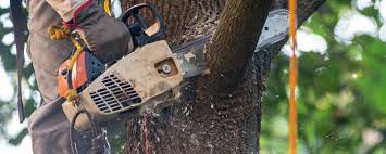 Best Aeration Services  in Decatur, IN