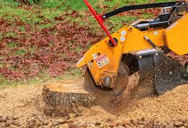 How Our Tree Care Process Works  in  Decatur, IN