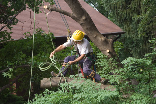 Best Lawn Irrigation Installation and Maintenance  in Decatur, IN