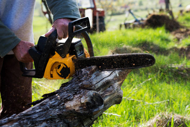 Best Tree Trimming and Pruning  in Decatur, IN